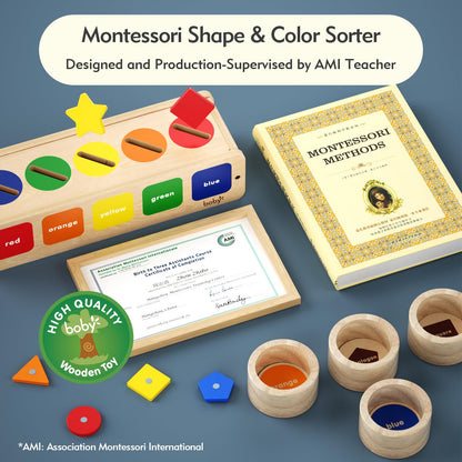 Dailyfunn Montessori Toys Wooden Sorting Box for Baby Infant Toddler 1+Year Old