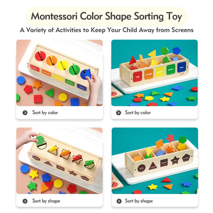 Dailyfunn Montessori Toys Wooden Sorting Box for Baby Infant Toddler 1+Year Old