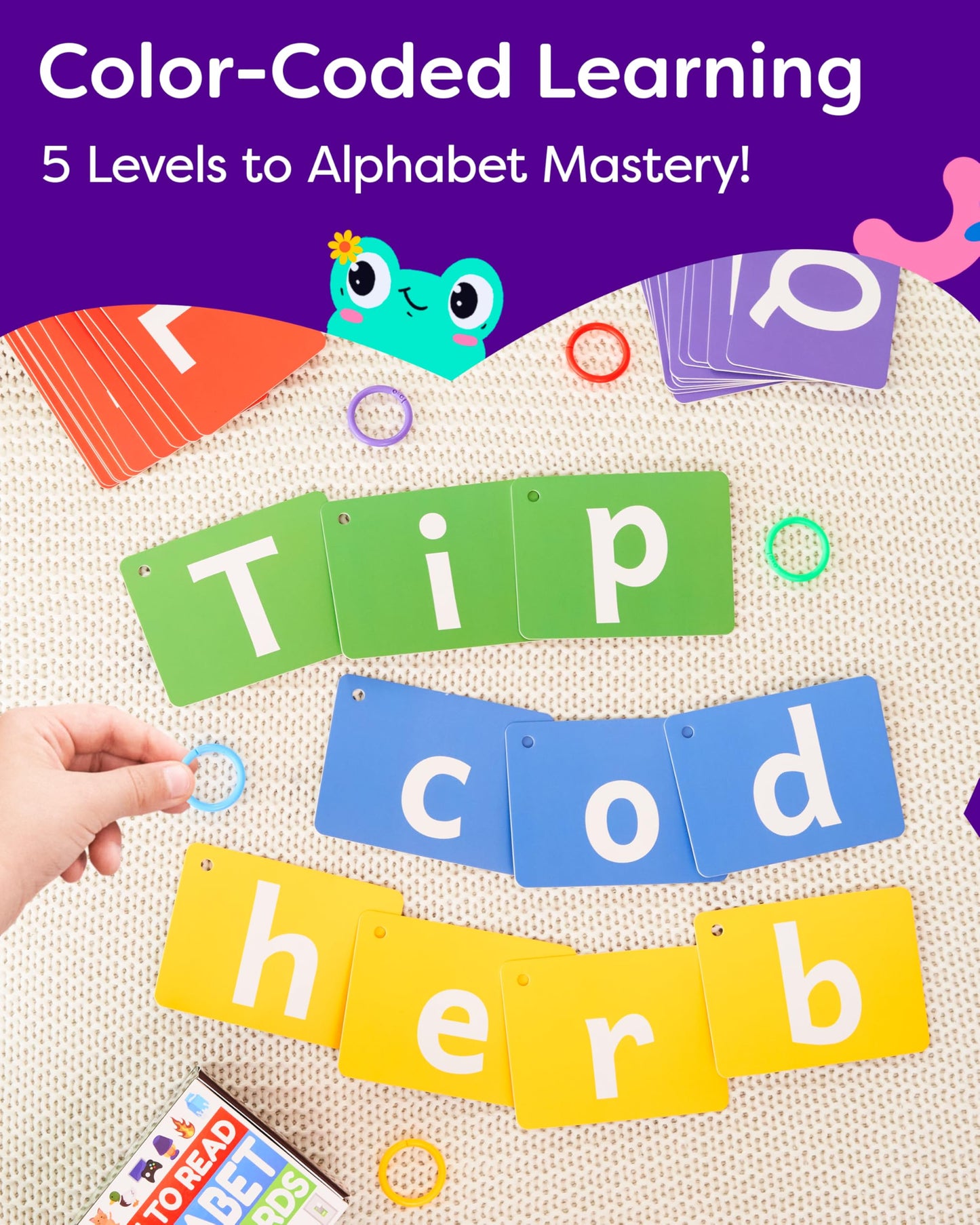 THE BAMBINO TREE Alphabet Flash Cards - ABC Jumbo Flash Cards for Kids Ages 3-6 - Lowercase & Uppercase Letter Recognition Learning Game - Teacher Designed for Classroom, Preschool, Kindergarten
