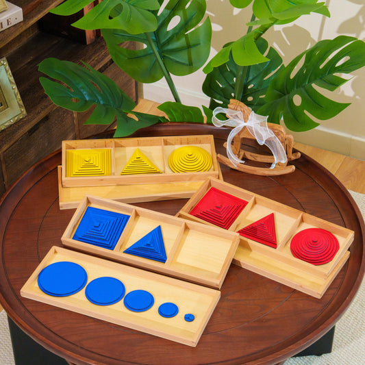Wooden Geometric Shapes Sorting & Learning Set for Kids